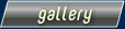 .:: gallery